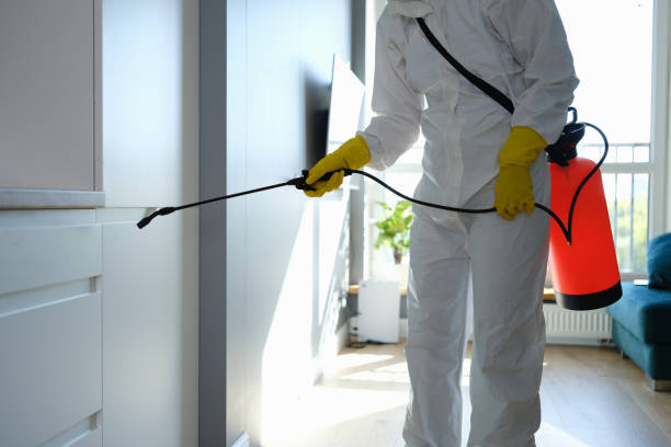 Professional Mold Remediation in Clairton, PA